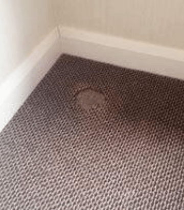 Carpet Hole Repair