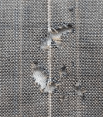 Carpet Moth Damage Repair