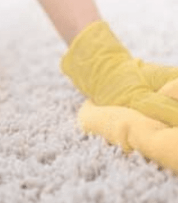 Carpet Odour Removal Service
