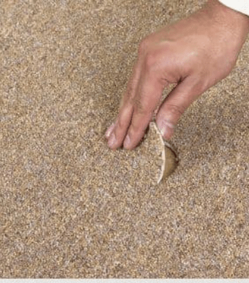 Carpet Patch Repair Springfield Lakes