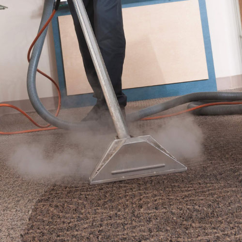 Carpet Steam Cleaning Service
