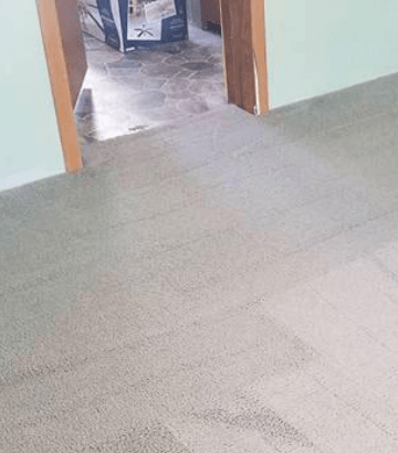 End of Lease Cleaning Carpet Service