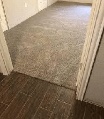 Fix The Carpet Mould