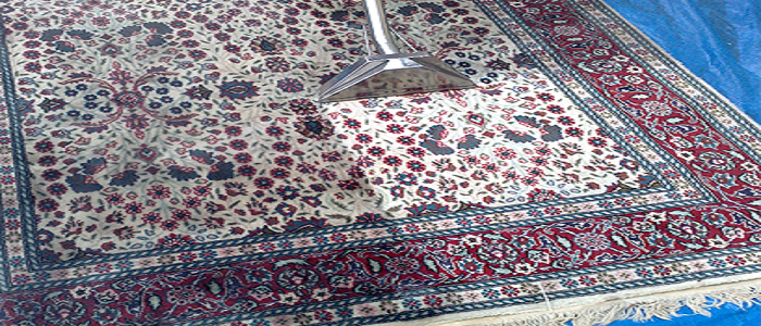 Rug Cleaning Springfield Lakes
